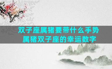 双子座属猪要带什么手势 属猪双子座的幸运数字